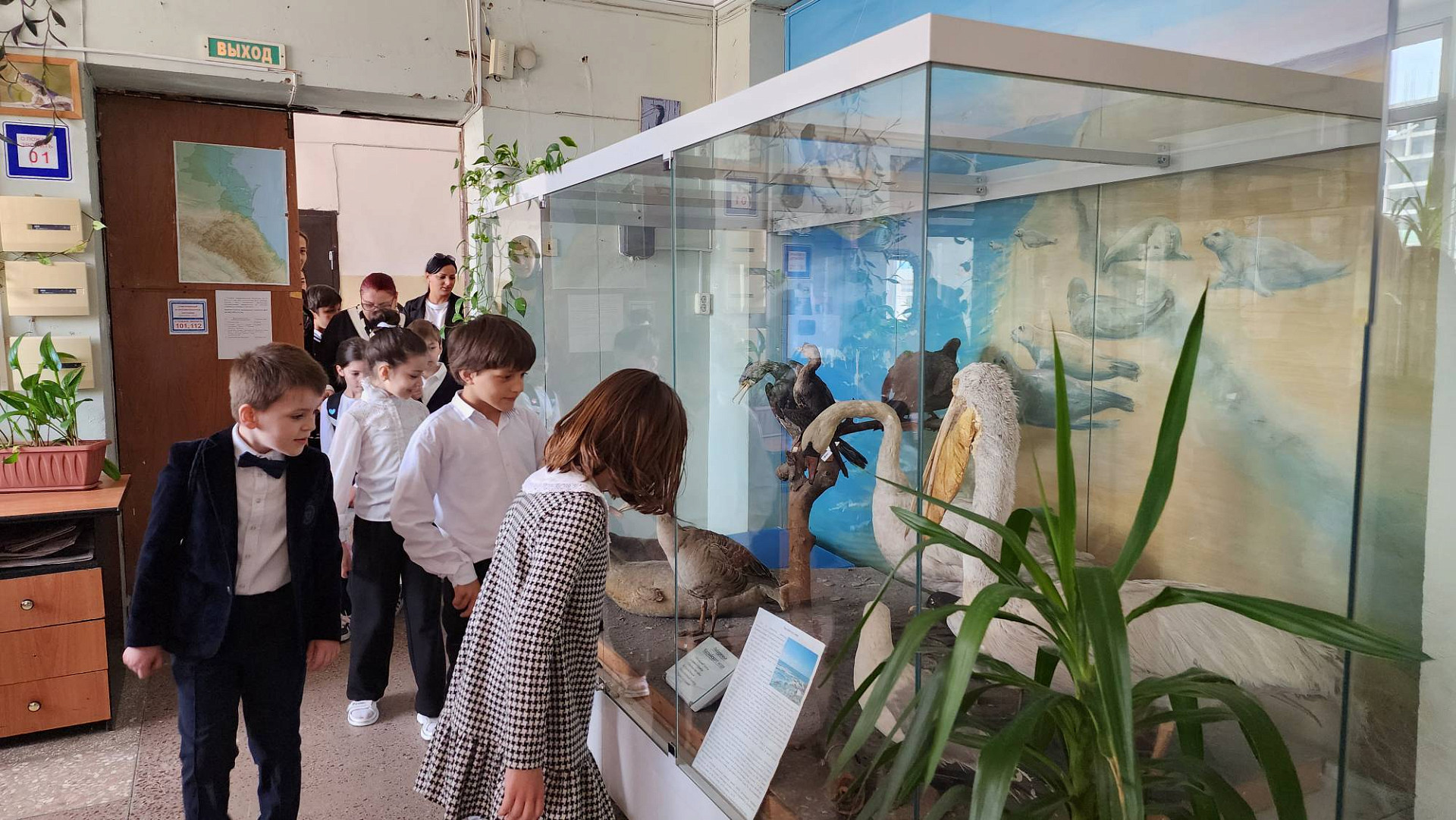 Школьники Махачкалы в Зоомузее ДГУ